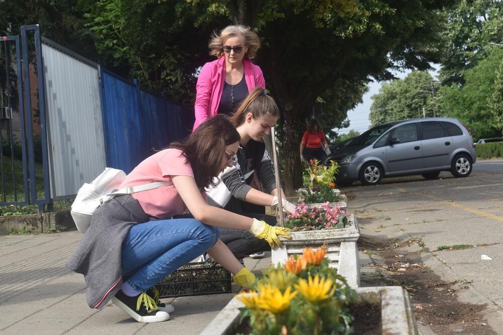 DIREKTORKA BOLNICE PRIHVATILA SE METLE: Njene kolege i budući medicinari posadili cveće, pre toga očistili dvorište (FOTO)
