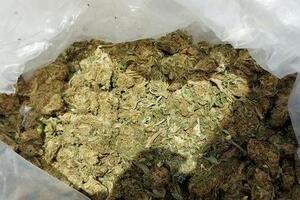 19 UHAPŠENIH DRUGOG DANA EGZITA: Droga pronađena kod 53 osobe, zaplenjeni marihuana, kokain, ekstazi