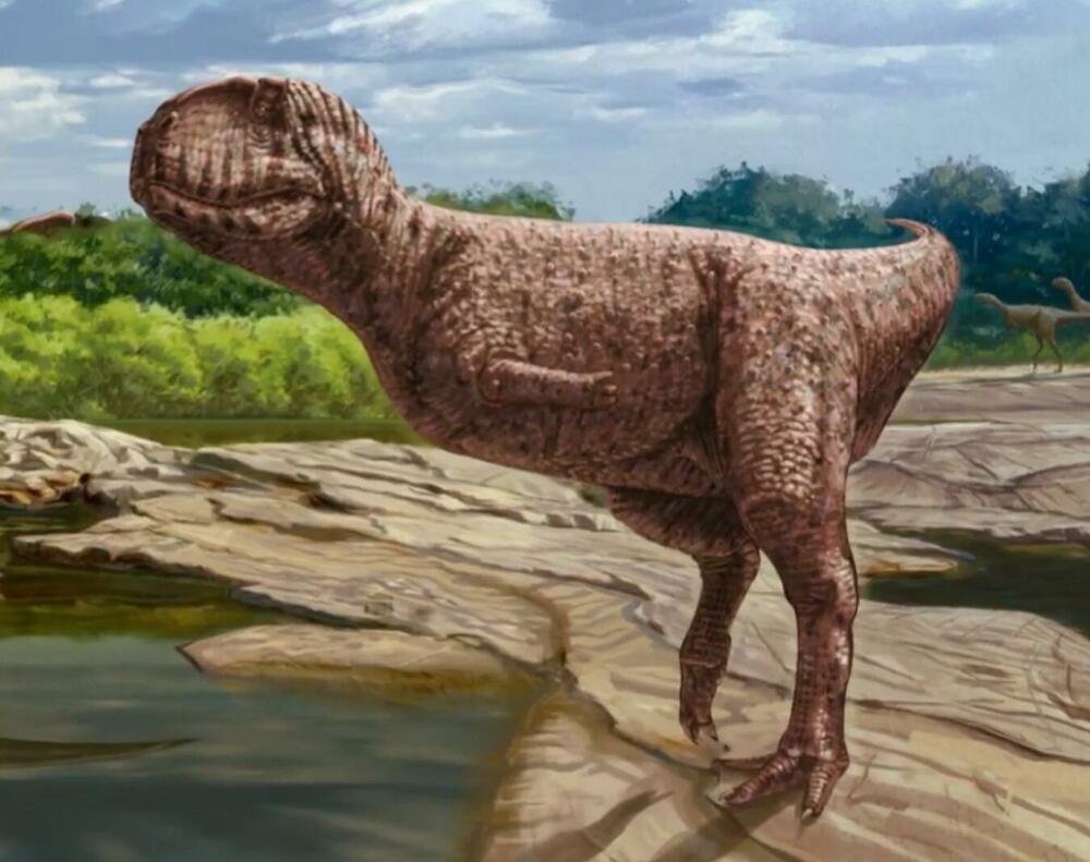 Dinosaurus, Fosili