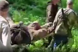 PAKLENA OSVETA RANJENOG MEDVEDA: Rus verovao da ga je ubio, a kada je prišao, zver je napala poslednji put i usmrtila ga! VIDEO