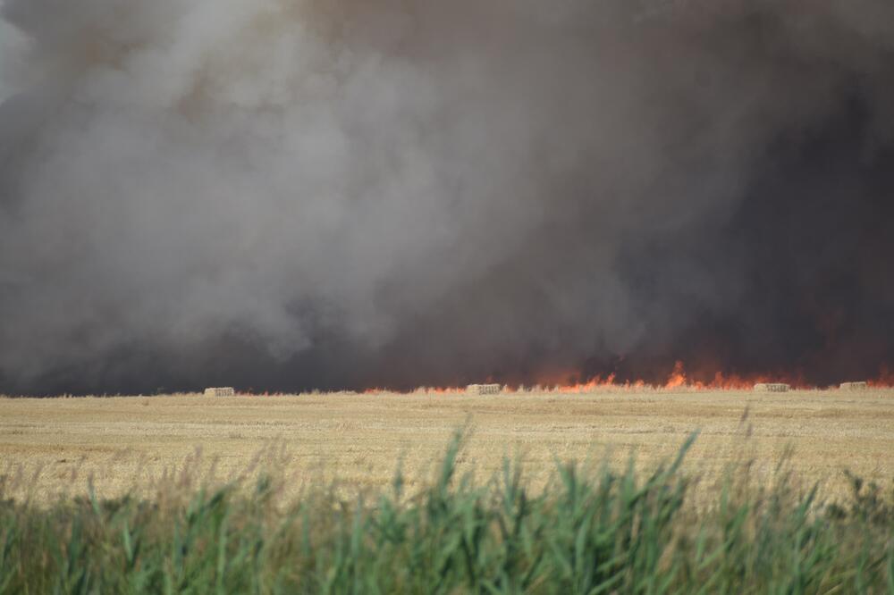 VARNICA S KOMBAJNA IZAZVALA VELIKI POŽAR! Vatra progutala 24 hektara pšenice, šteta oko 5 miliona dinara