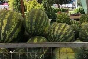 LUBENICU I ŽENU NE MOŽEŠ IZABRATI VEĆ SAMO... Sa porukom koja je okačena na kamion sa voćem SLAŽE SE VEĆINA MUŠKARACA (FOTO)