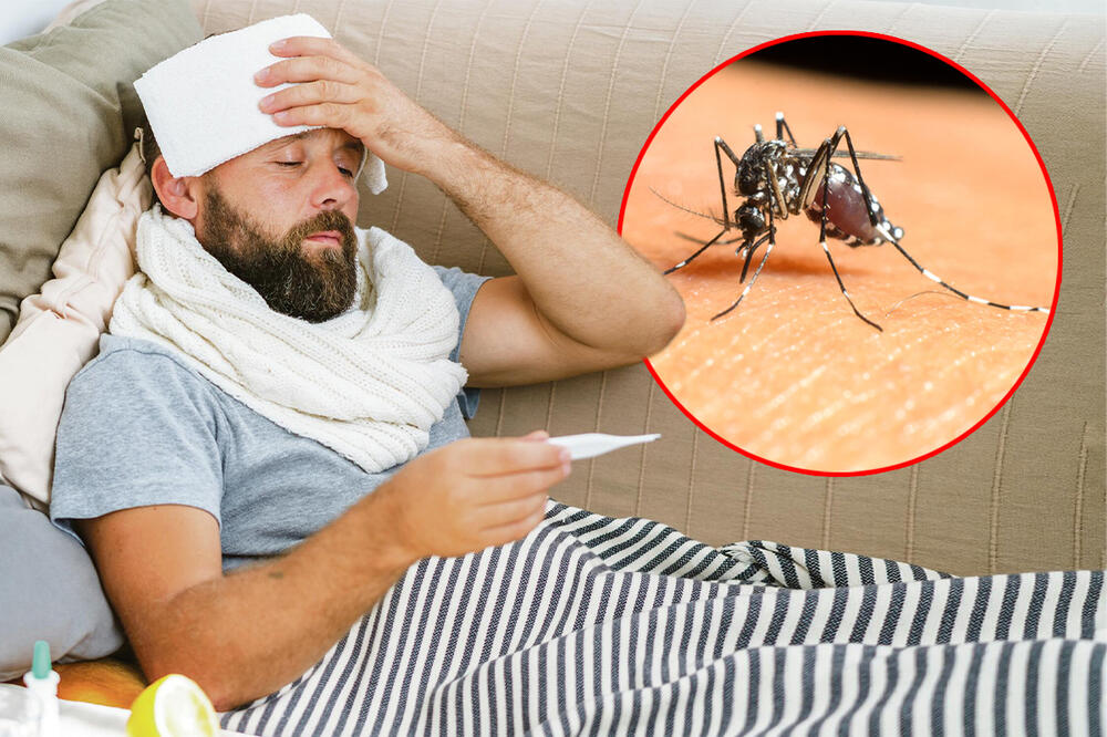 SVE O GROZNICI ZAPADNOG NILA: Evo koliko traje inkubacija kad vas ujede zaraženi komarac, a OVO JE NAJGORE ŠTO VAS MOŽE ZADESTITI