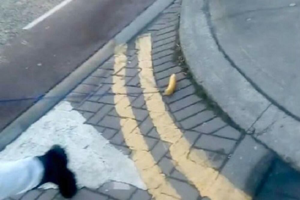 KAO KUĆNI LJUBIMCI! Čovek koji ležerno šeta s bananom na povocu uopšte NIJE LUD već leči jednu bolest, šta vi mislite o tome?