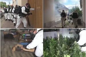 TRUDNA ŽENA ZAKUKALA KAD JE 40 POLICAJACA UPALO U DVORIŠTE: Komšije o mladiću kom je u kući nađena laboratorija marihuane