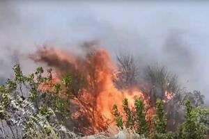 GORI NA KRITU: Na severozapadu ostrva izbio veliki požar, stanovništvo evakuisano