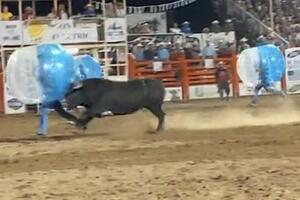 JEDVA PREŽIVELA ZA 500 DOLARA Amerikanka ušla u arenu sa bikom, trkala se sa njim u LOPTI NA NADUVAVANJE (VIDEO)