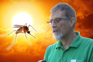 VIRUS ZAPADNOG NILA PODIVLJAO U SRBIJI Doktor za Kurir TV otkrio šta se dešava sa komarcima ZA SVE KRIVE OGROMNE KLIMATSKE PROMENE