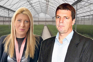 SVI IZVORI SLOŽNI U JEDNOM: I Jelena Zorić tvrdi - Andreja Vučića nema u aferi Jovanjica! To je spin i dimna zavesa za druge