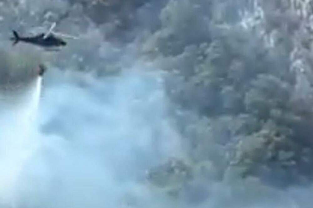 BESNI POŽAR KOD KOTORA: Vatrogasci pokušavaju da obuzdaju vatru koja preti da se proširi VIDEO