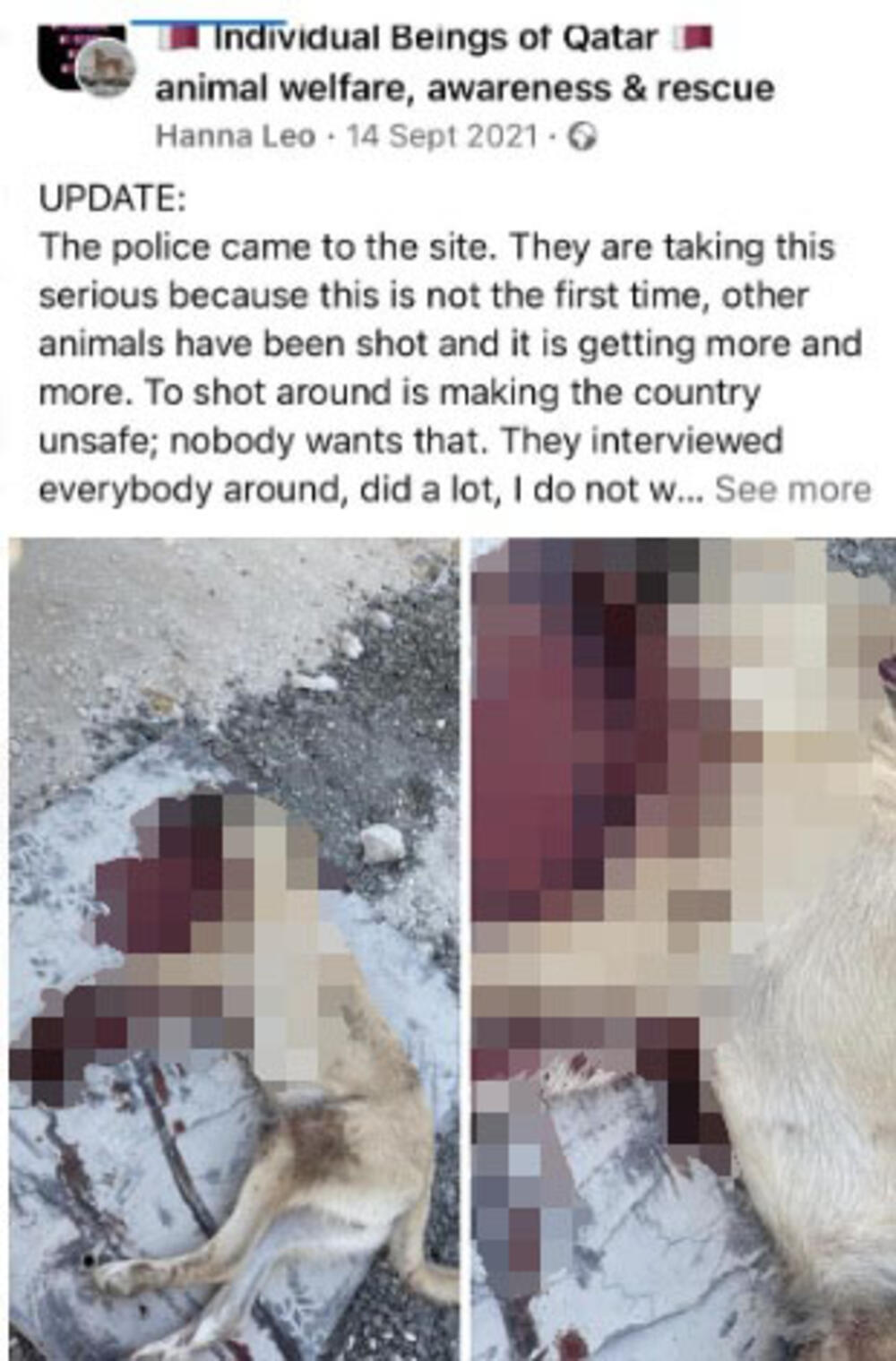 Godinama se primeri ubijenih pasa dele na FB grupama aktivista iz Dohe