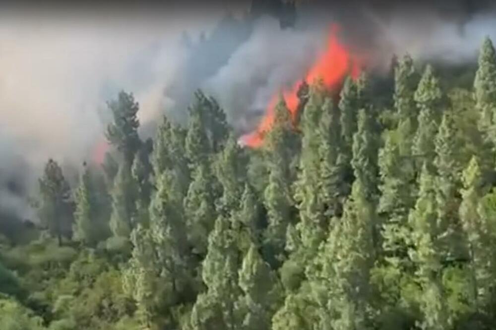 GORI JUG EVROPE: Požari u Španiji i Grčkoj, vatrena stihija i na popularnim Kanarskim ostrvima VIDEO