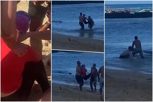 ŠOK SNIMAK SA PLAŽE! Zver isplivala iz vode pa napala ženu! Plivačica napravila grešku koja je mogla da je košta života VIDEO