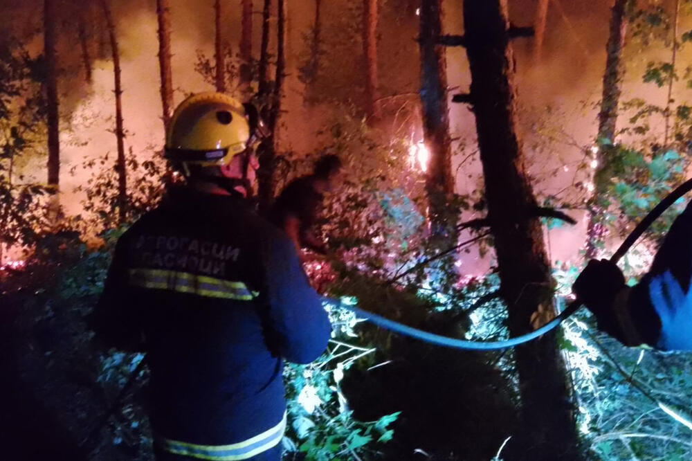 POŽAR KOD PREŠEVA POD KONTROLOM: Više od 70 vatrogasaca borilo se sa vatrom celu noć (FOTO)