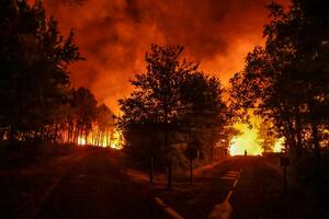 TO JE ČUDOVIŠTE! Tri dana lavovske borbe francuskih vatrogasaca sa ogromnim šumskim požarom blizu Bordoa VIDEO