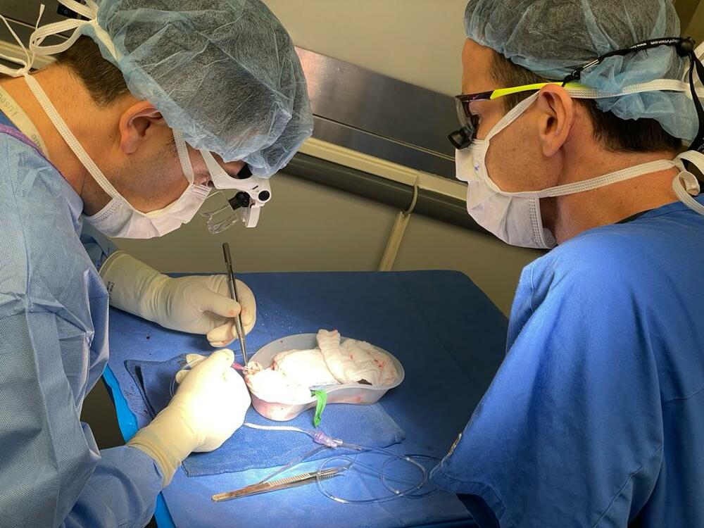 Obuka kolege sa Mount Sinaj za mikrohirurške procedure