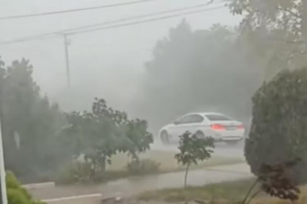 NEVREME BESNELO U KIKINDI: Oluja čupala drveće, stabla padala na automobile (VIDEO)