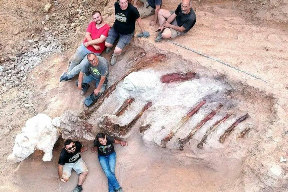 OTKRIVEN SKELET NAJVEĆEG DINOSAURUSA U EVROPI! Kostur Sauropoda star oko 150 miliona godina, iskopan NETAKNUT u Portugaliji