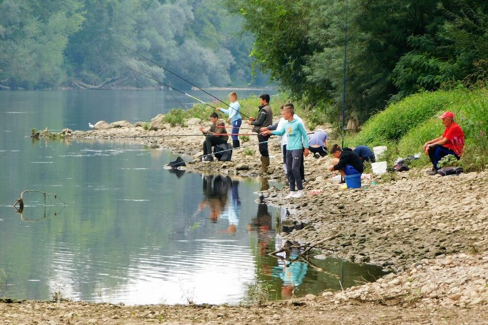 NEKOM ŠTAP, NEKOM KUTLAČA, A SVIMA LEPO... "Dani Drine" na Branjevu kod Loznice okupili sportske ribolovce na pecanju na plovak