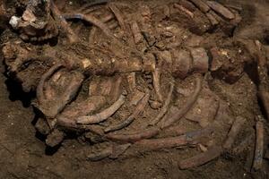 MISTERIJA SKELETA KOJI JE NAĐEN U VELIKOJ BRITANIJI DNK analiza otkrila pravo poreklo kostiju koje su stare 2.000 godina (FOTO)