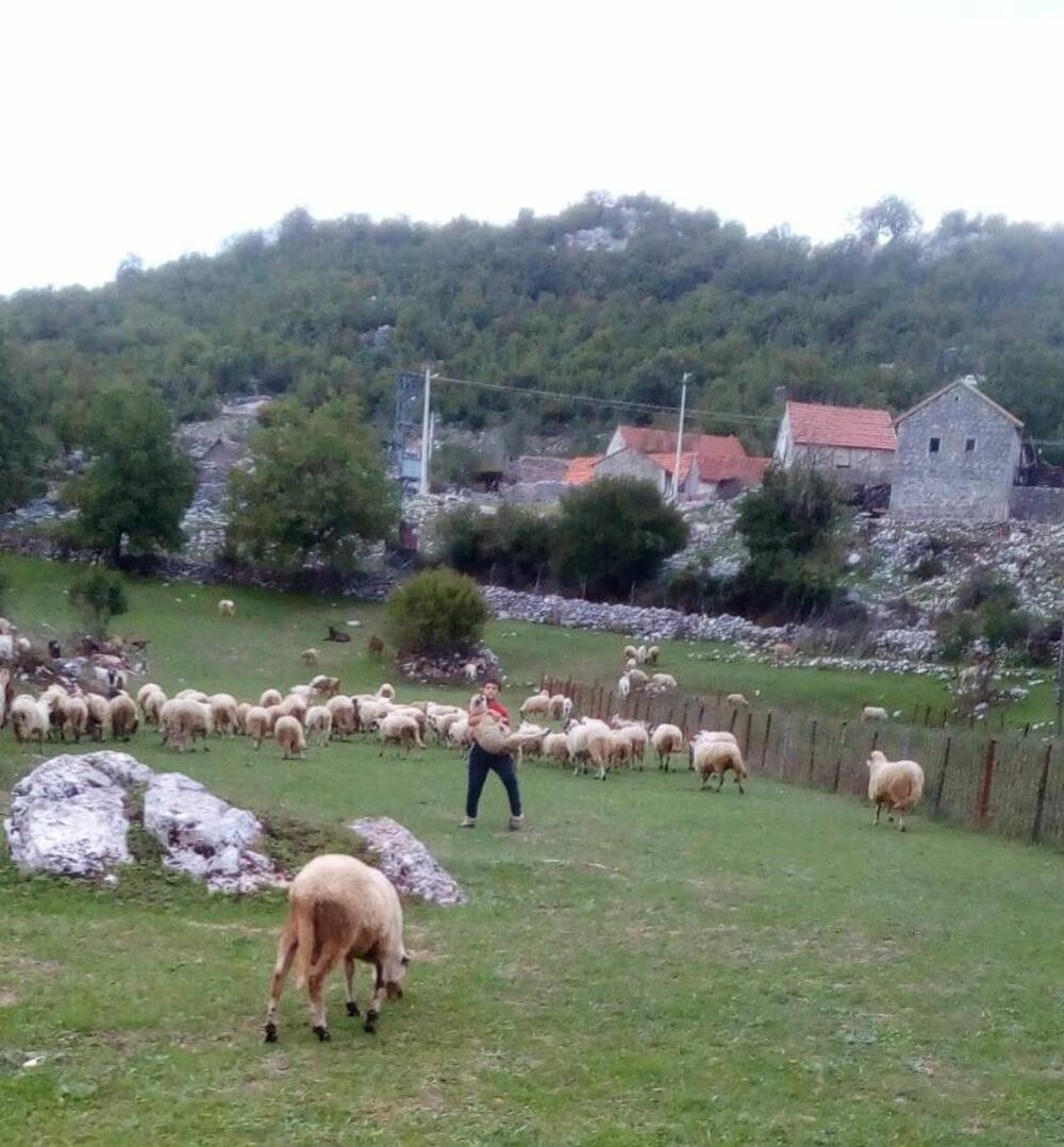 Uroš Stanišić sada lakše i brže može da dođe do svog sela da čuva stado