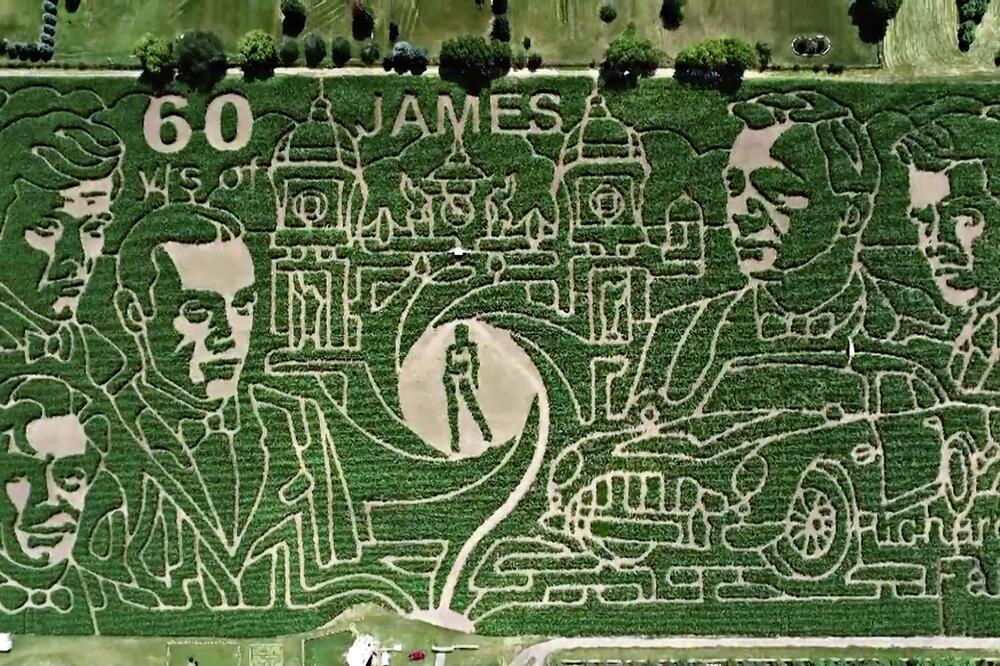 BONDOV LAVIRINT: Ogromno polje kukuruza postalo je zabavni park posvećen agentu 007