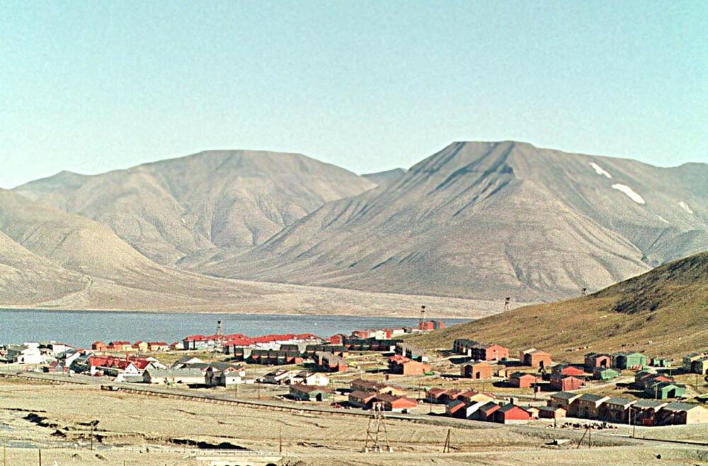 Longjerbijen, Svalbard