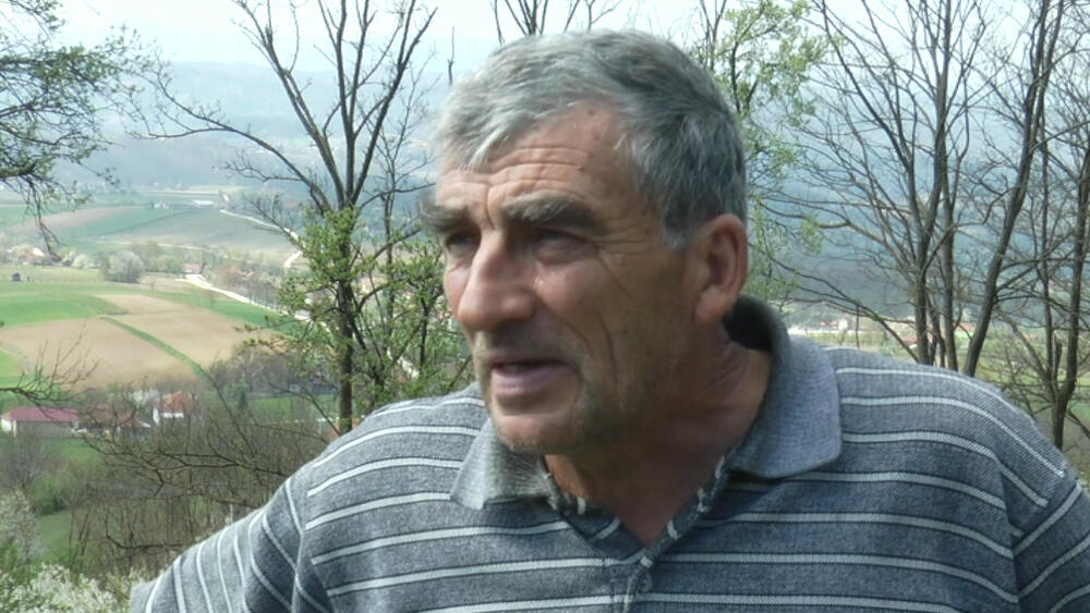 Milutin Veljović, Lučani