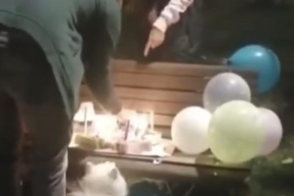 U PARKU ORGANIZOVAN ROĐENDAN ZA PSA: Događaj ispraćen uz 2 torte, balone i GOSTE! Pogledajte kako je to izgledalo (VIDEO)