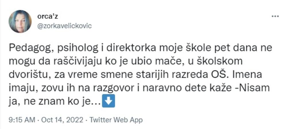 Objava učiteljice Zorke Veličković