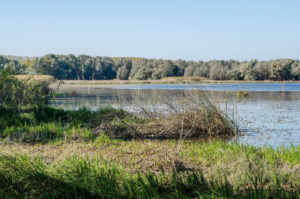 Novi Sad, Begecka jama