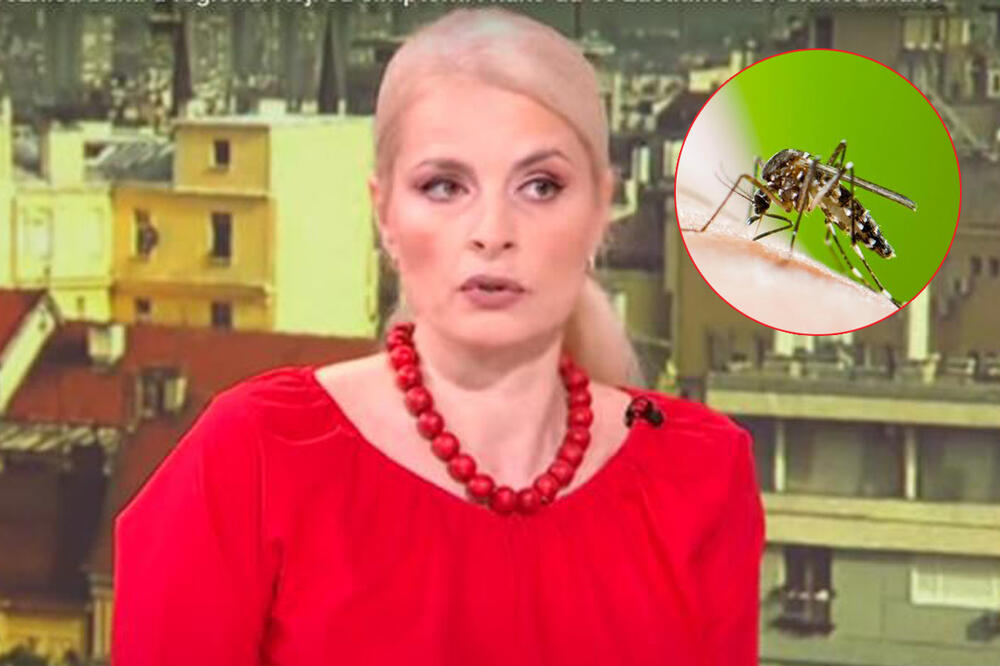 NAJEZDA KOMARACA U NOVEMBRU! Svi se pitaju otkud ovi insekti pred zimu, doktorka upozorava posebno na jednu veoma opasnu vrstu!