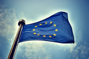 MI VEĆ RAT IMAMO, NE TREBA NAM JOŠ I TRGOVINSKI RAT: Potpresednica Evropske komisije Margret Vestager poslanicima EU parlamenta