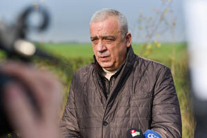 Gradonačelnik Bakić obišao radove na podizanju vetrozaštitnog pojasa na Pačirskom putu
