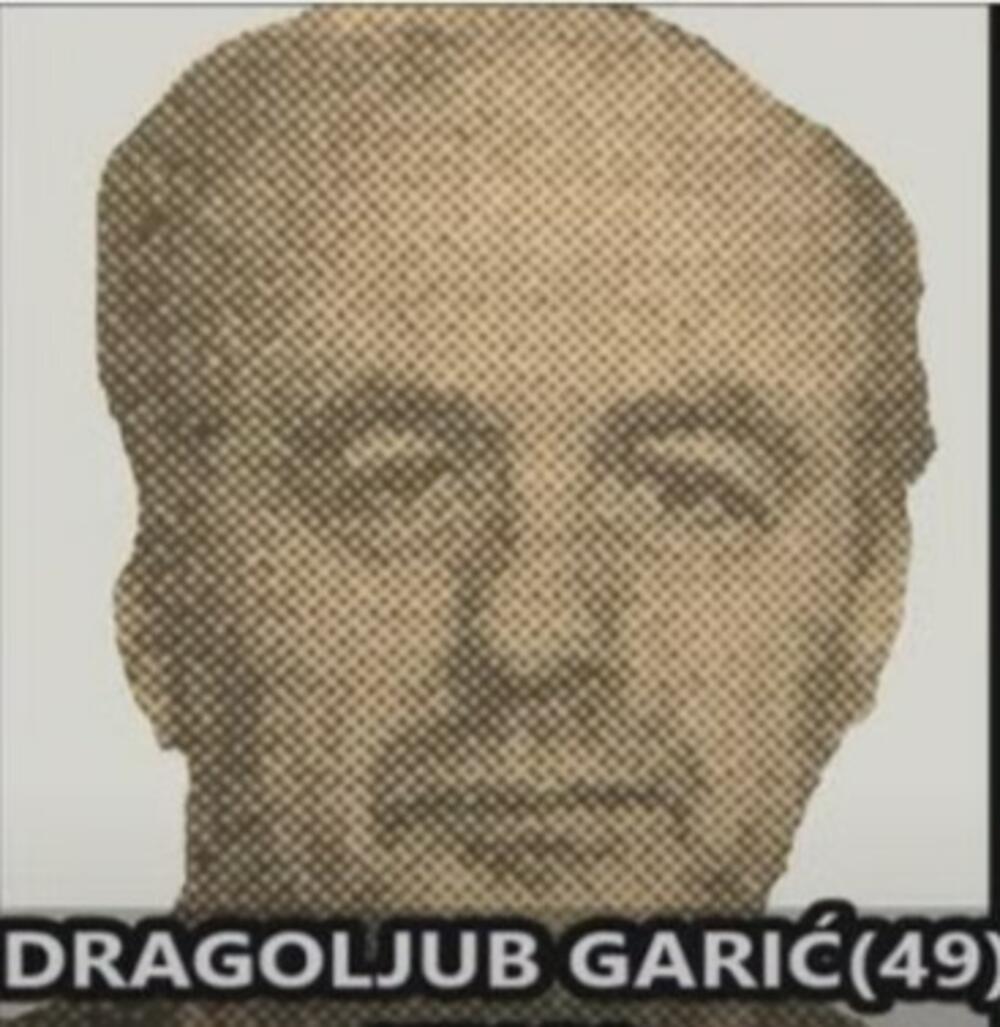 Dragoljub Garić