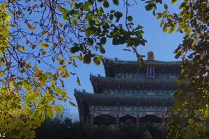 ĆAO, JESENI! Odredište koje je dobro mesto za uživanje, idemo u park u Pekingu i Beogradu (VIDEO)