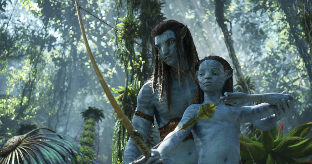 film Avatar, Avatar