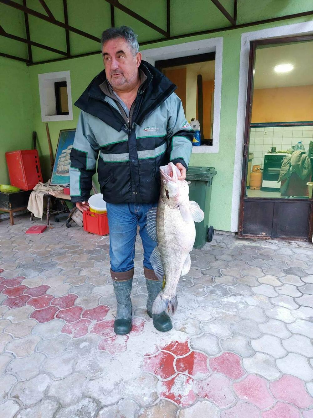 Zoran Srdić, smuđ, ribolovac, pecanje