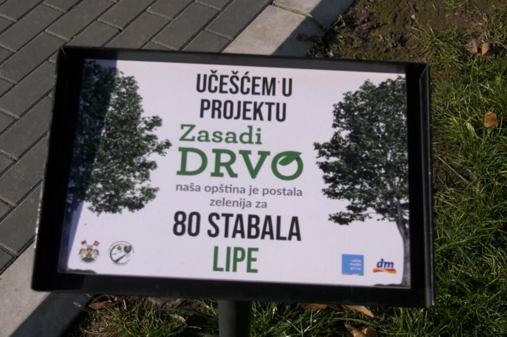 AKCIJA "ZASADI DRVO" U VRNJAČKOJ BANJI! Posađeno 80 lipa u Kraljevačkoj ulici u centru grada: Urbane sredine u Srbiji sve zelenije