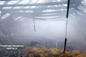 IZGORELA FARMA SA 10.000 PILIĆA U BOŠNJANU: Plamen se pojavio u sredini farme u kojem je bio sistem za zagrevanje
