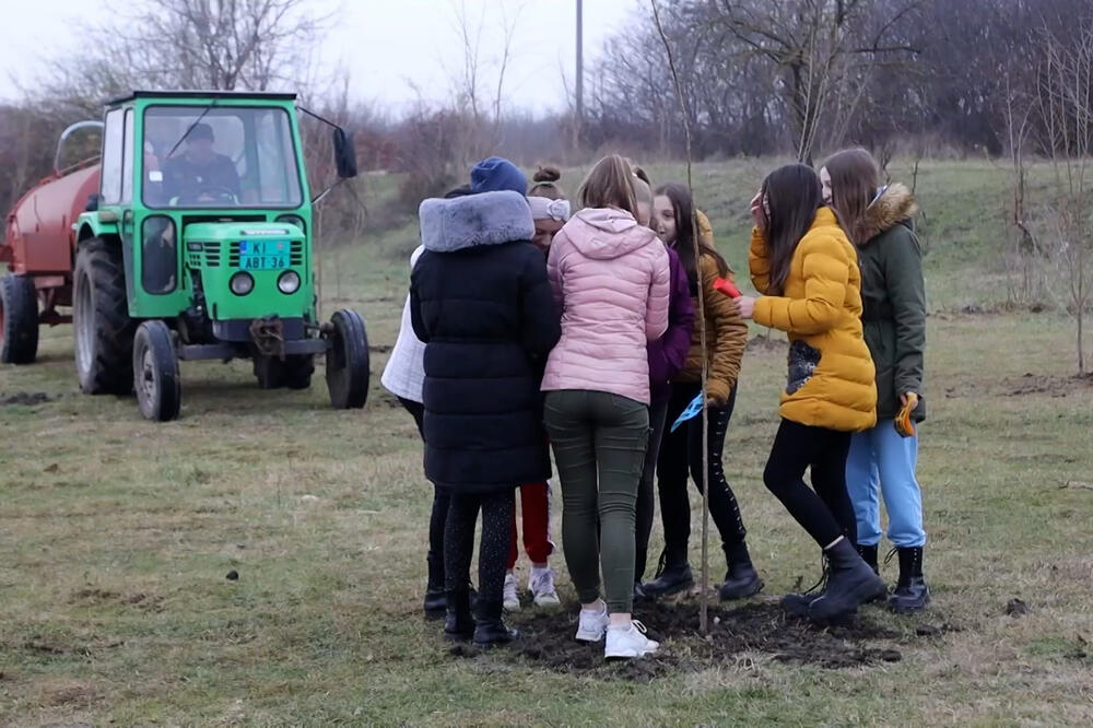 DECA NAUČILA KOLIKO JE VAŽNO ČUVATI PRIRODU! Akcija "Zasadi drvo" u Mokrinu okupila đake koji su posadili četiri različite vrste