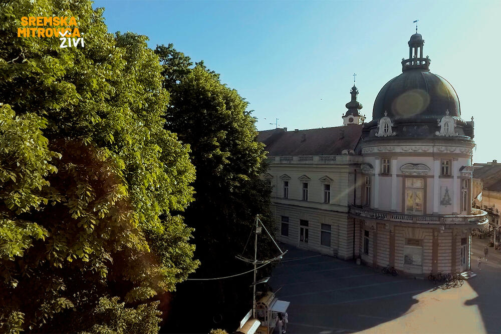 Sremska Mitrovica živi, Biblioteka “Gligorije Vozarović”