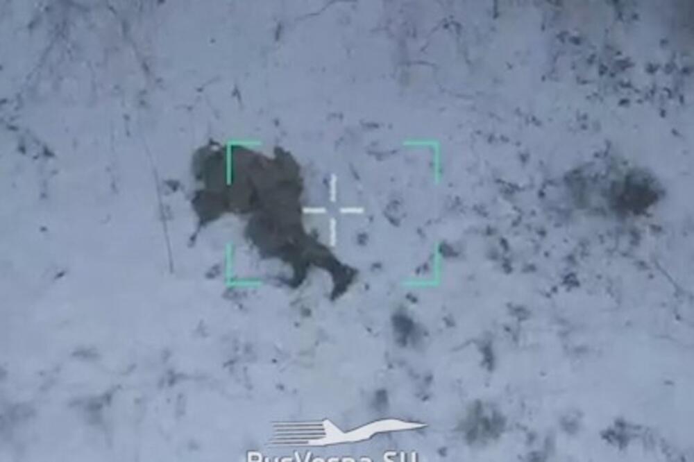 PRAVIO SE MRTAV, PA ULOVIO DRON: Bespilotna letelica na vojnika BACILA GRANATU, ono što se posle desilo je NEVIĐENO (VIDEO)