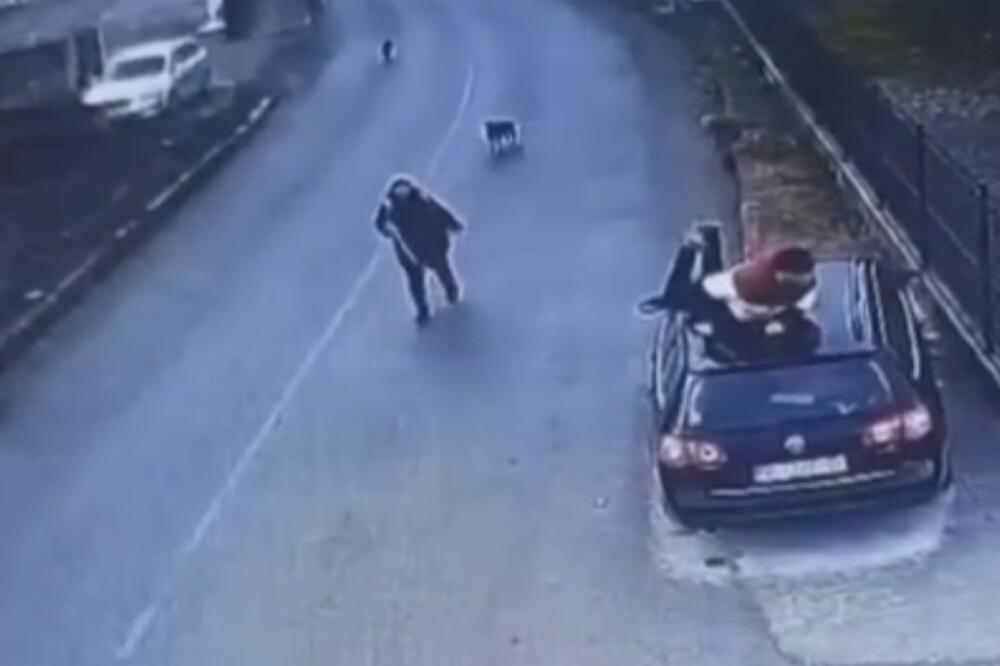 ŠOK-VIDEO IZ BEOGRADA: Čovek nosi kesu a onda ga okružuje čopor pasa! Pogledajte kako se u sekundi popeo na krov automobila
