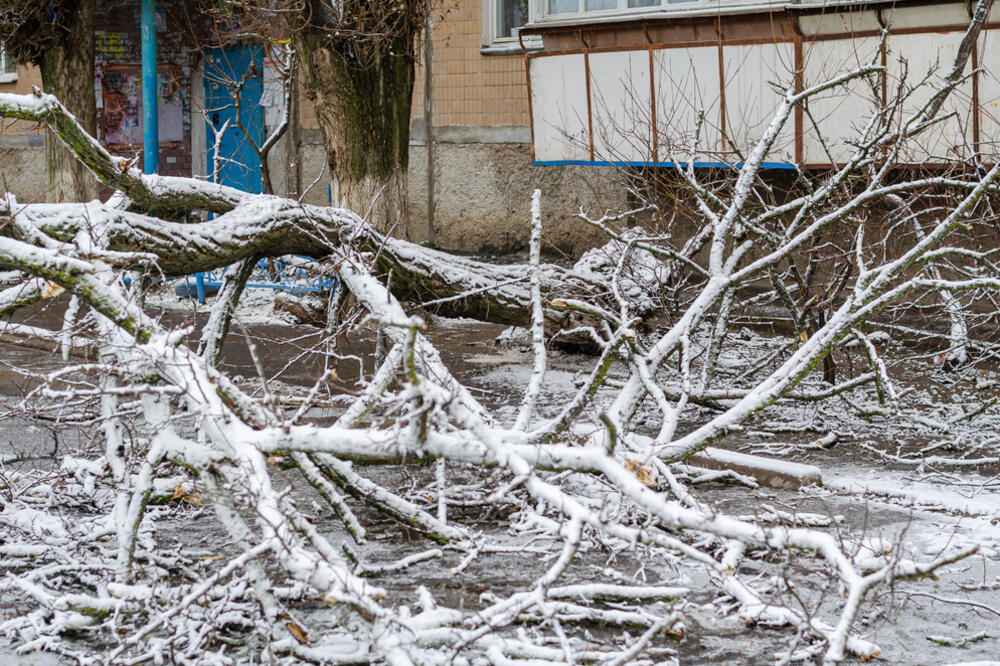 NEVREME U SLAVONIJI: Jak vetar obarao drveće na saobraćajnice! Civilna zaštita izdala upozorenje!