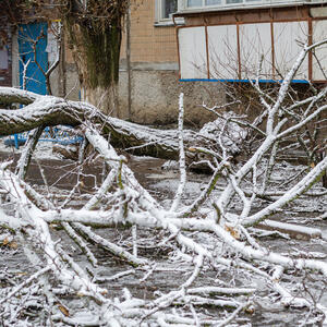 NEVREME U SLAVONIJI: Jak vetar obarao drveće na saobraćajnice! Civilna