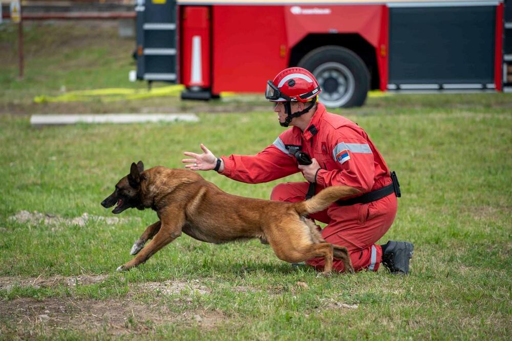 SRPSKI OVČAR DEO TIMA ZA PRONALAZAK MALE DANKE! Pas Zigi koji je tragao za ljudima u ruševinama u Turskoj, večeras kreće u Bor