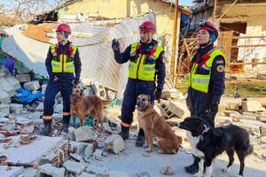 ZIGI, PROTEO, TIMBA, EKO... HEROJI KOJE SLUŠAJU I SPASIOCI! Spasavanje ljudi iz ruševina njihova je misija, po cenu svojih života