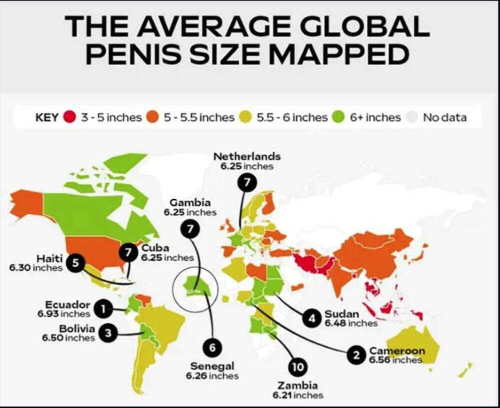 пенис, големина на пенисот