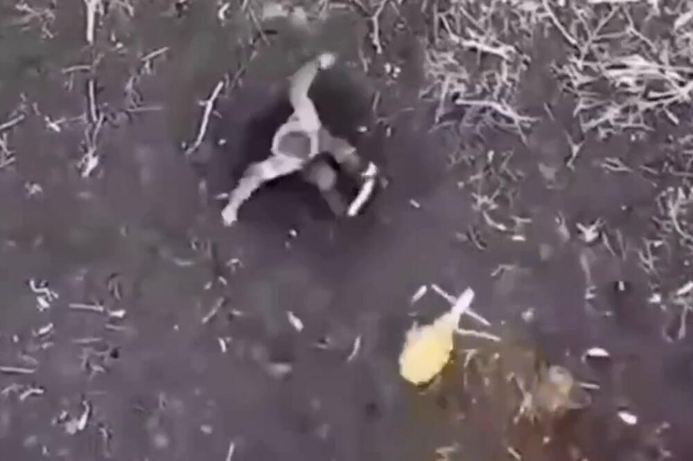 BORBA ZA GOLI ŽIVOT: Rus bez pola noge leži u rovu, Ukrajinci pokušavaju da ga dokrajče granatom iz drona (UZNEMIRUJUĆI VIDEO)